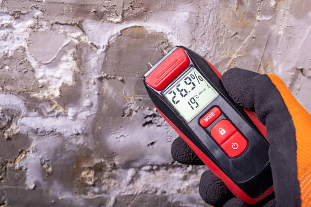 Best Crawl Space Mold Removal  in Rupert, ID