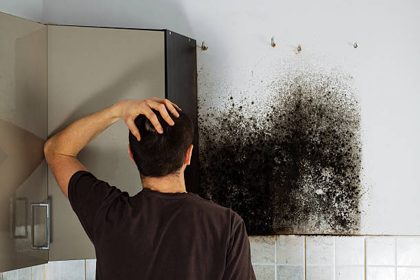 Crawl Space Mold Removal in Rupert, ID